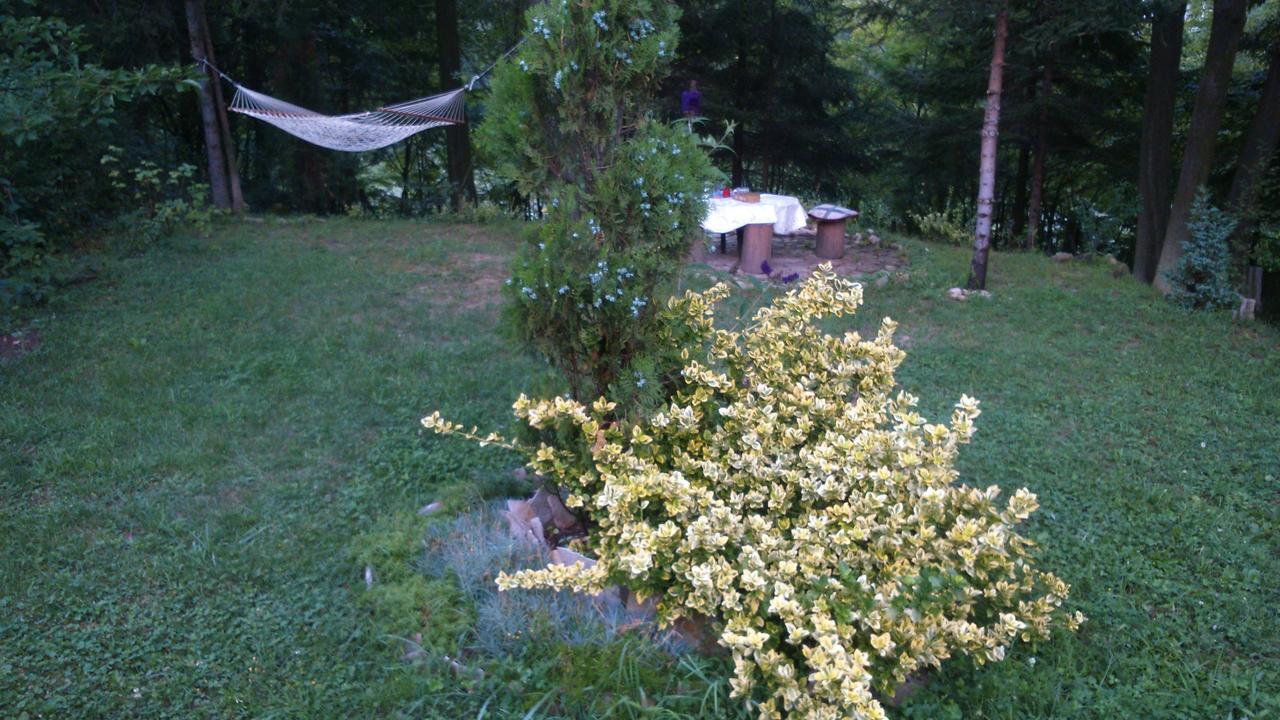Tammaris Holiday Home Visoko Dış mekan fotoğraf