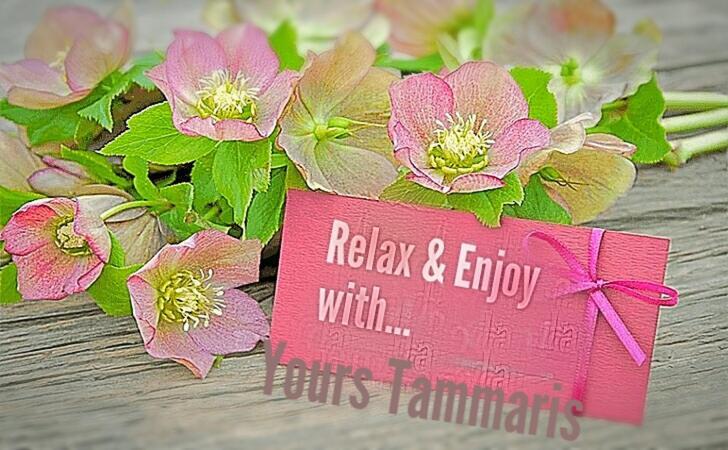 Tammaris Holiday Home Visoko Dış mekan fotoğraf